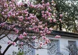 travel picture
