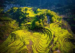 travel picture