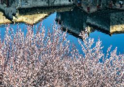 travel picture