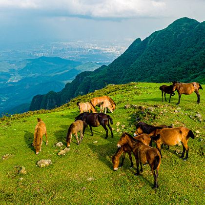 贵港+平天山国家森林公园+南山寺+北帝山旅游区+龙潭国家森林公园+太平天国金田起义地址5日4晚私家团 贵港+平天山国家森林公园+南山寺+北帝山旅游区+龙潭国家森林公园+太平天国金田起义地址5日4晚私家团