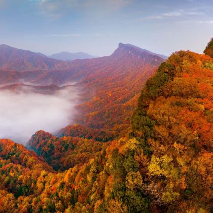 巴中+光雾山+米仓山国家森林公园+十八月潭景区5日4晚私家团 巴中+光雾山+米仓山国家森林公园+十八月潭景区5日4晚私家团