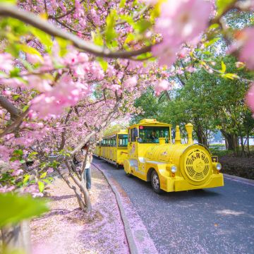 无锡3日2晚自由行 无锡3日2晚自由行