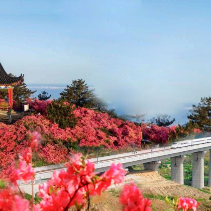 麻城龟峰山+五脑山一日游 武汉往返|赏杜鹃花|景点可调G 麻城龟峰山+五脑山一日游 武汉往返|赏杜鹃花|景点可调G