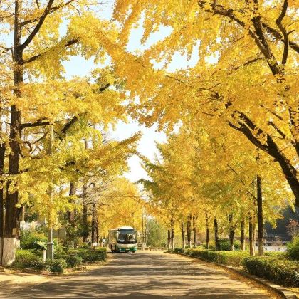 湖州+南浔古镇+安吉+莫干山5日4晚私家团 湖州+南浔古镇+安吉+莫干山5日4晚私家团