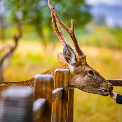 杭州+良渚古城遗址公园+盐官潮乐之城5日4晚私家团 杭州+良渚古城遗址公园+盐官潮乐之城5日4晚私家团