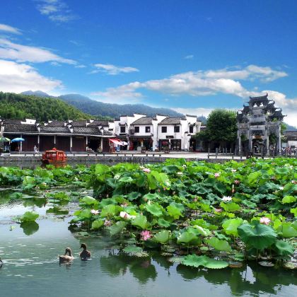 黄山+宏村+西递4日3晚自由行 黄山+宏村+西递4日3晚自由行
