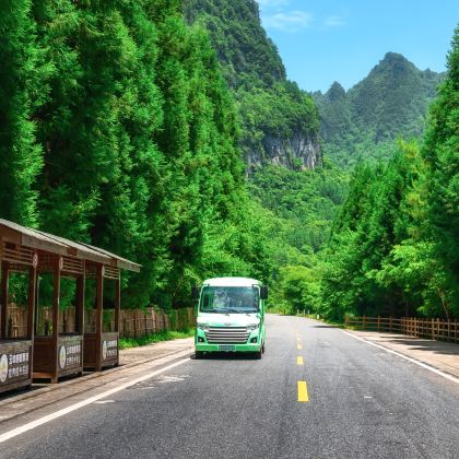 成都+光雾山旅游景区+阆中古城+剑门关5日4晚私家团 成都+光雾山旅游景区+阆中古城+剑门关5日4晚私家团