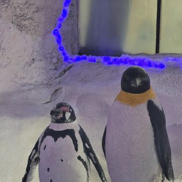 菲律宾马尼拉市+长滩岛6日5晚自由行 菲律宾马尼拉市+长滩岛6日5晚自由行