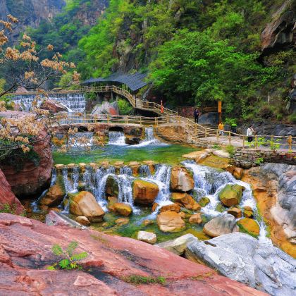 新乡河南宝泉旅游区+清明上河+龙门石窟+少林寺3日2晚私家团 新乡河南宝泉旅游区+清明上河+龙门石窟+少林寺3日2晚私家团