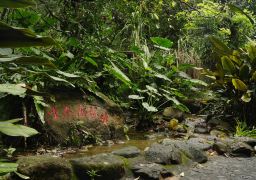 travel picture
