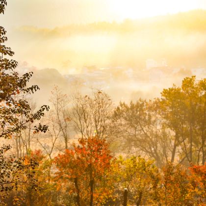 皖南川藏线最美宁国段+宏村景区+塔川+桃花潭4日3晚私家团 皖南川藏线最美宁国段+宏村景区+塔川+桃花潭4日3晚私家团