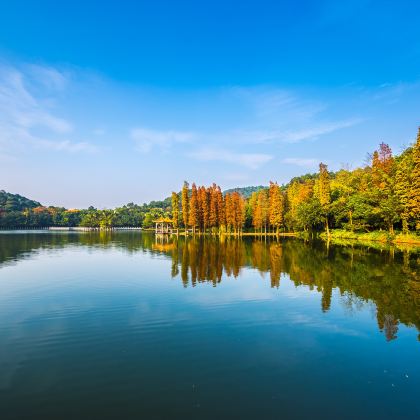 佛山+西樵山风景名胜区+广东千古情2日1晚自由行 佛山+西樵山风景名胜区+广东千古情2日1晚自由行