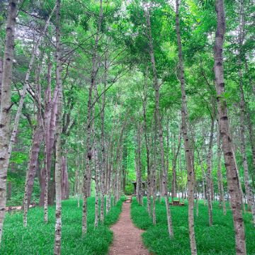 韩国首尔5日4晚跟团游 韩国首尔5日4晚跟团游