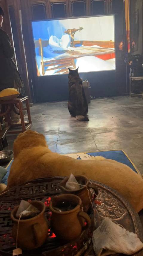 朱家角井亭民宿图片