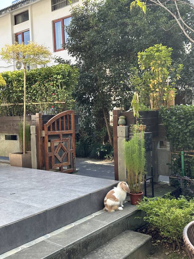 殊胜寻真2号院(灵隐寺店)图片