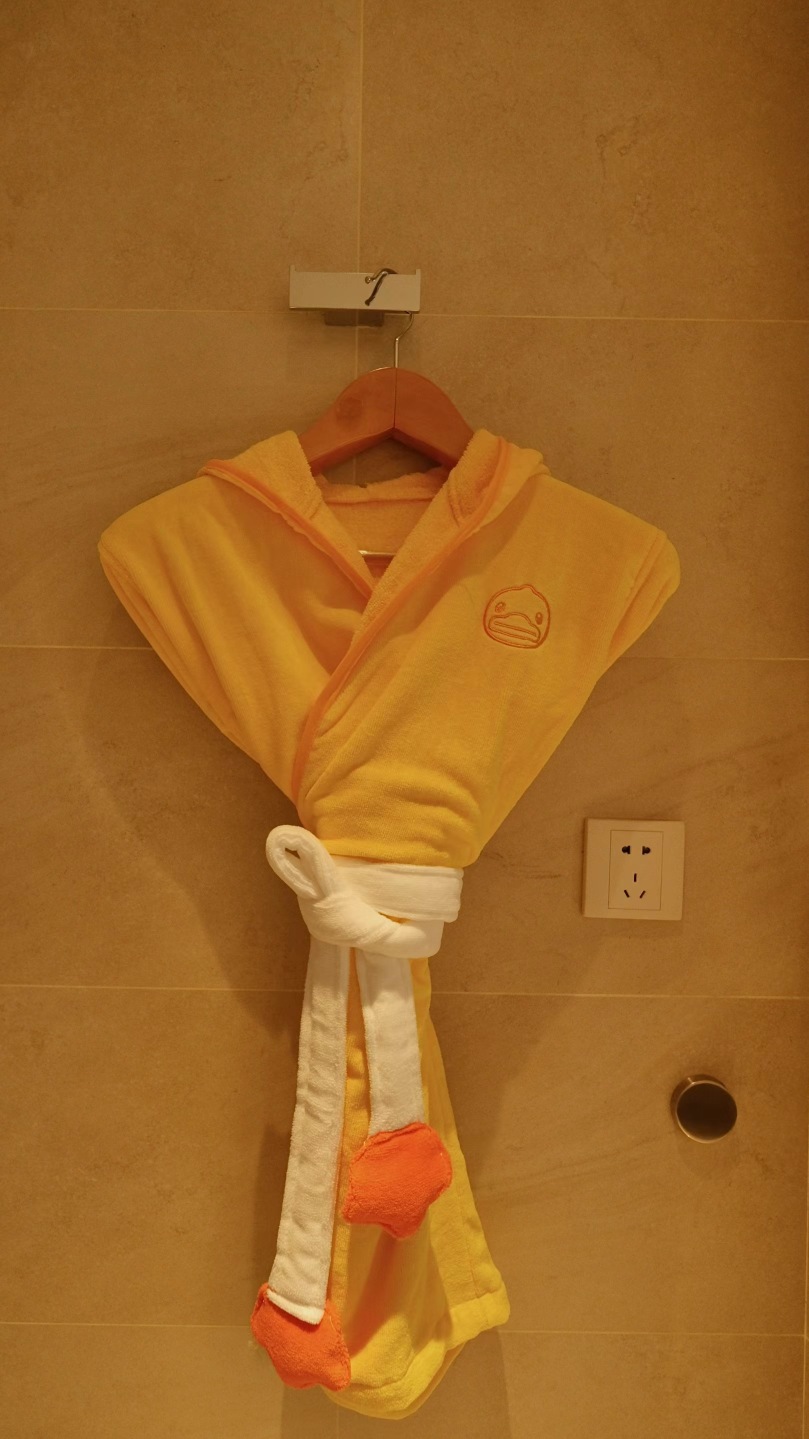 Hotel Chevalier Robe