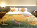 room overview picture