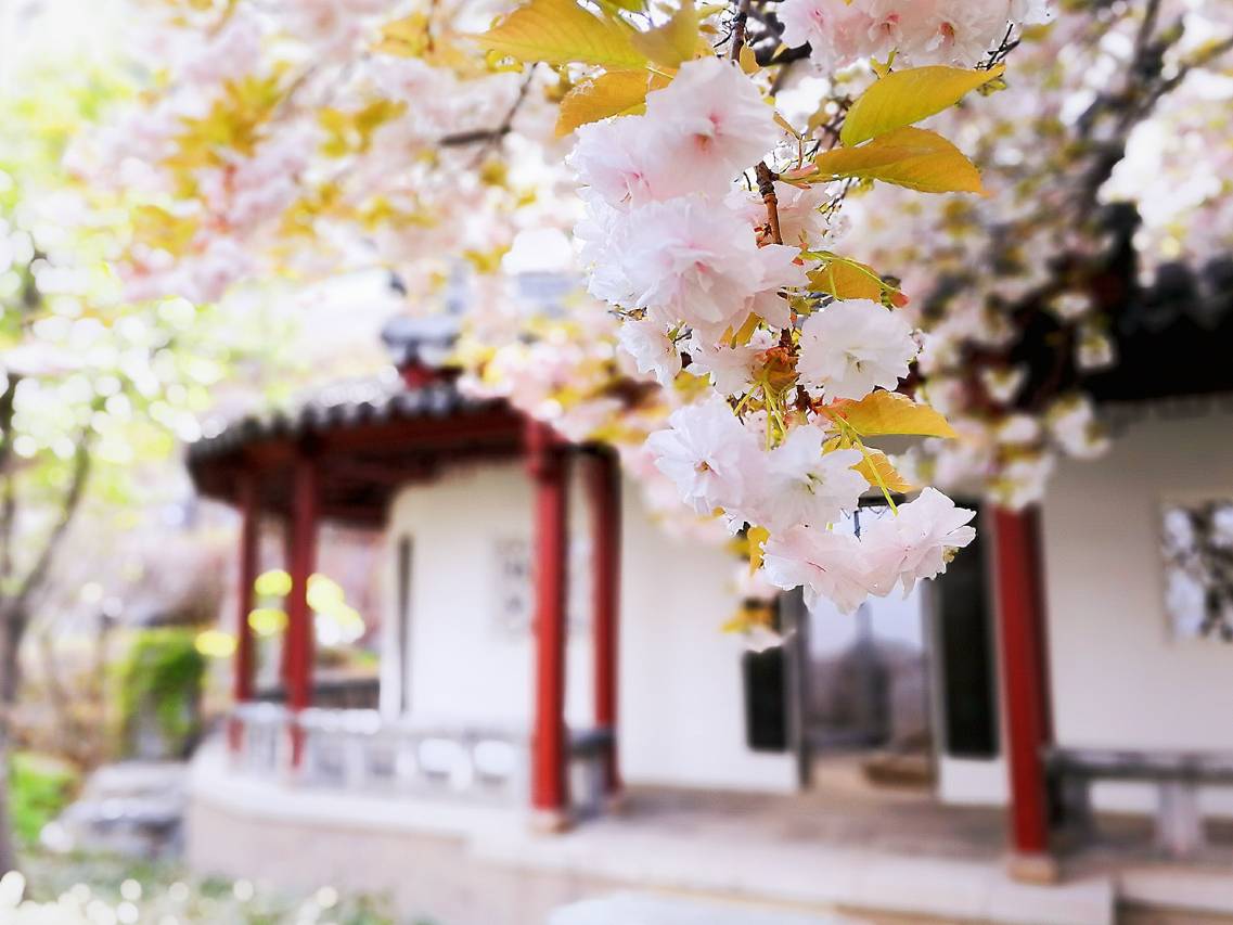 北京长富宫饭店图片