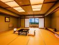 room overview picture