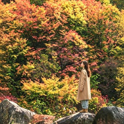 陕西汉中+汉中龙头山国际旅游度假区+米仓山国家森林公园+十八月潭景区4日3晚跟团游 陕西汉中+汉中龙头山国际旅游度假区+米仓山国家森林公园+十八月潭景区4日3晚跟团游