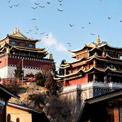 云南丽江+大理市+香格里拉+西双版纳10日9晚跟团游 云南丽江+大理市+香格里拉+西双版纳10日9晚跟团游