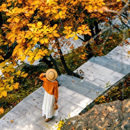 陕西+秦巴古韵后柳水乡+石泉古街+古观音禅寺+米仓山国家森林公园5日4晚跟团游 陕西+秦巴古韵后柳水乡+石泉古街+古观音禅寺+米仓山国家森林公园5日4晚跟团游