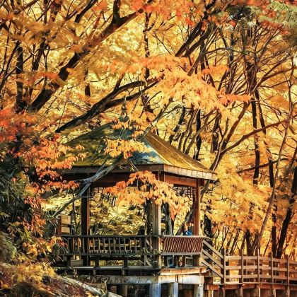 西安+大唐不夜城+光雾山旅游景区+米仓山+汉中石门栈道风景区+狮子沟牧场+情人谷6日5晚跟团游 西安+大唐不夜城+光雾山旅游景区+米仓山+汉中石门栈道风景区+狮子沟牧场+情人谷6日5晚跟团游
