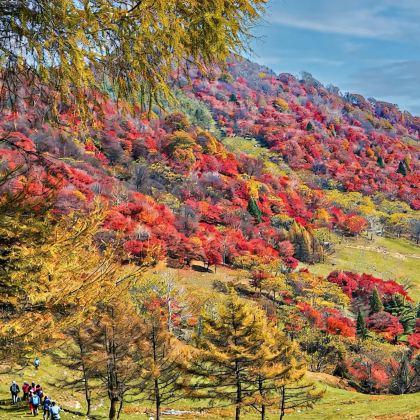 吉林市+延吉+长白山景区+沈阳8日7晚拼小团 吉林市+延吉+长白山景区+沈阳8日7晚拼小团