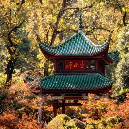 长沙+韶山+岳麓书院+橘子洲景区4日3晚跟团游 长沙+韶山+岳麓书院+橘子洲景区4日3晚跟团游
