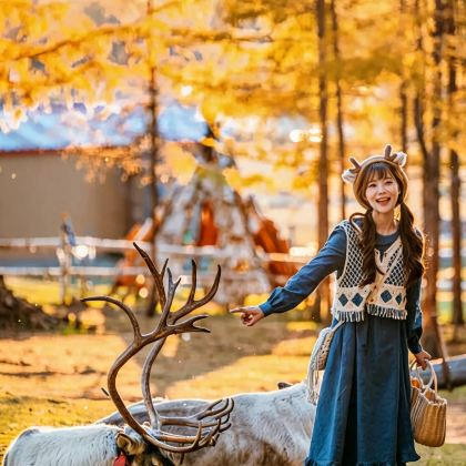 哈尔滨+五大连池市+伊春+漠河8日7晚跟团游 哈尔滨+五大连池市+伊春+漠河8日7晚跟团游