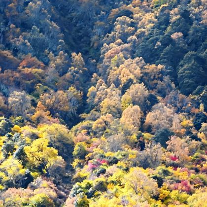 林芝+波密+雅鲁藏布大峡谷+巴松措+然乌湖+米堆冰川6日5晚跟团游 林芝+波密+雅鲁藏布大峡谷+巴松措+然乌湖+米堆冰川6日5晚跟团游
