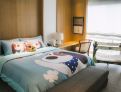 room overview picture