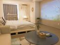 room overview picture