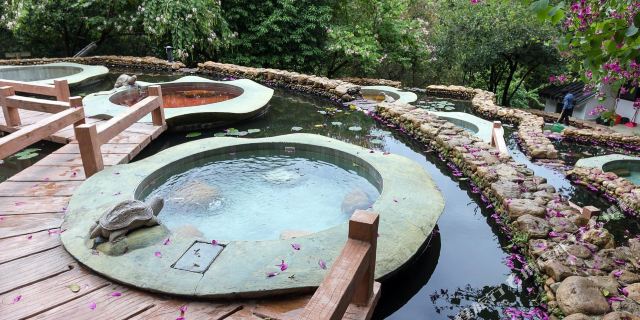 ϲȪȼپƵ Ȫ_ʰŲȪĺ͹ϹȪȼپƵ_Ȫȼٴ