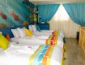 room overview picture