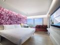 room overview picture
