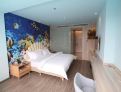 room overview picture