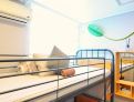 room overview picture