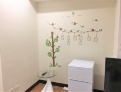 room overview picture