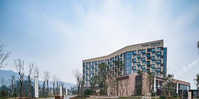 蒲江花样年福朋喜来登度假酒店1晚+室外儿童