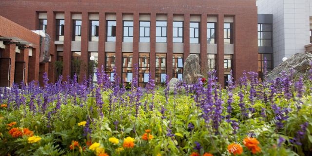 铜川市精选酒店1晚+照金国际滑雪场周末3小时