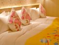 room overview picture