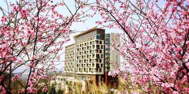 蒲江花样年福朋喜来登度假酒店1晚+室外儿童