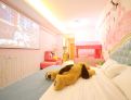 room overview picture
