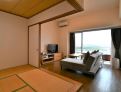 room overview picture