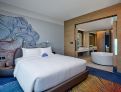 room overview picture