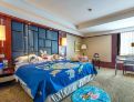 room overview picture