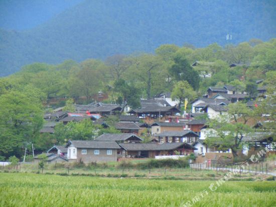维西县人口_雨中走进维西县塔城镇
