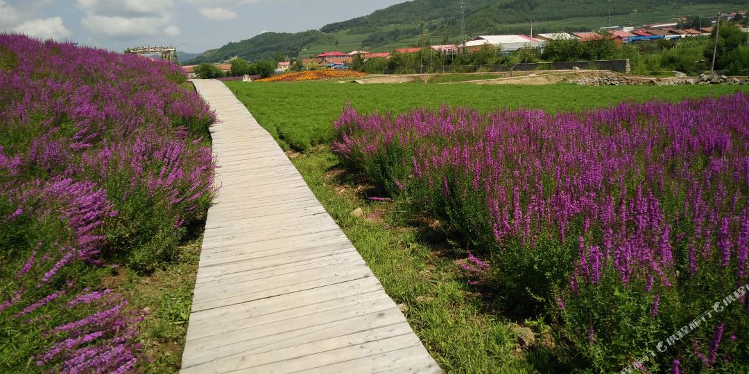 抚松白桦林小宾馆