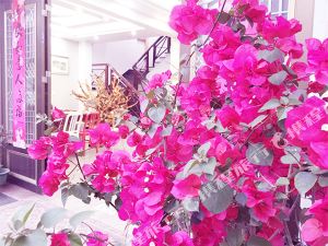 乐清景点推荐\/旅游景点排名,乐清景点大全\/旅游